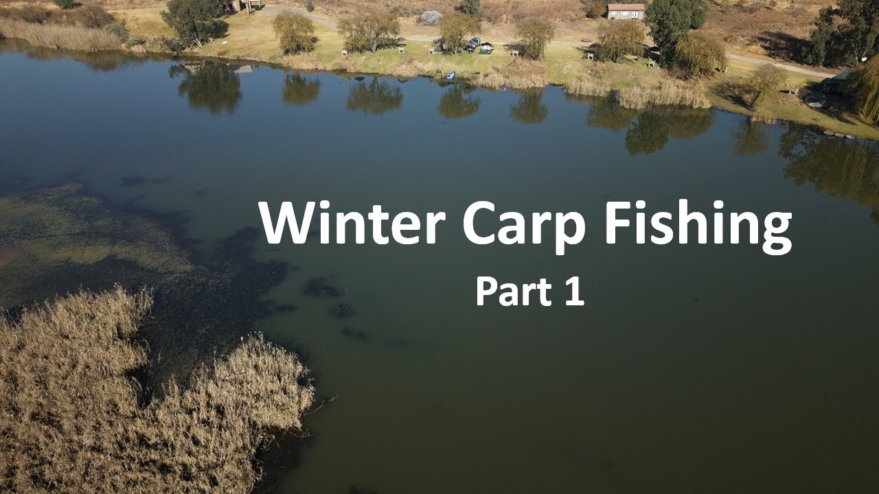 Winter Specimen Carp Session 2025 - Part 1