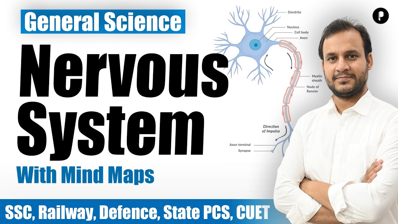Nervous System | With Mind Map | General Science | SSC Biology #parcham