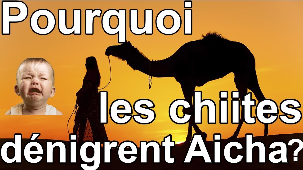 Pourquoi les chiites d&eacute;nigrent Aicha ?