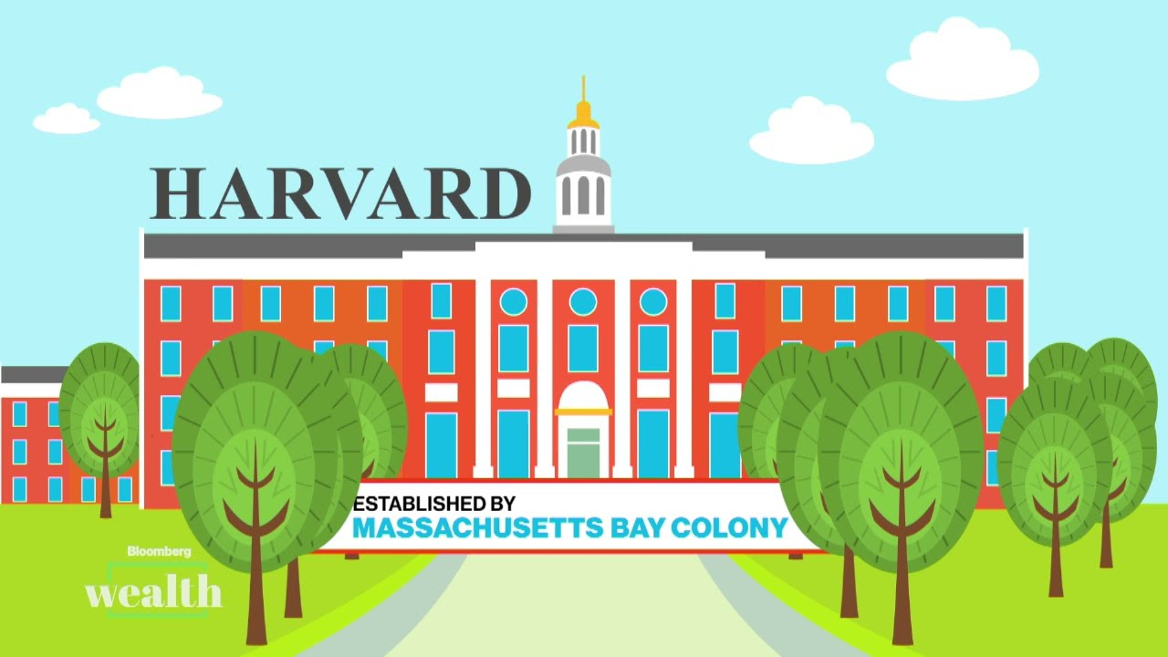 University Endowments Change the Way They're Investing