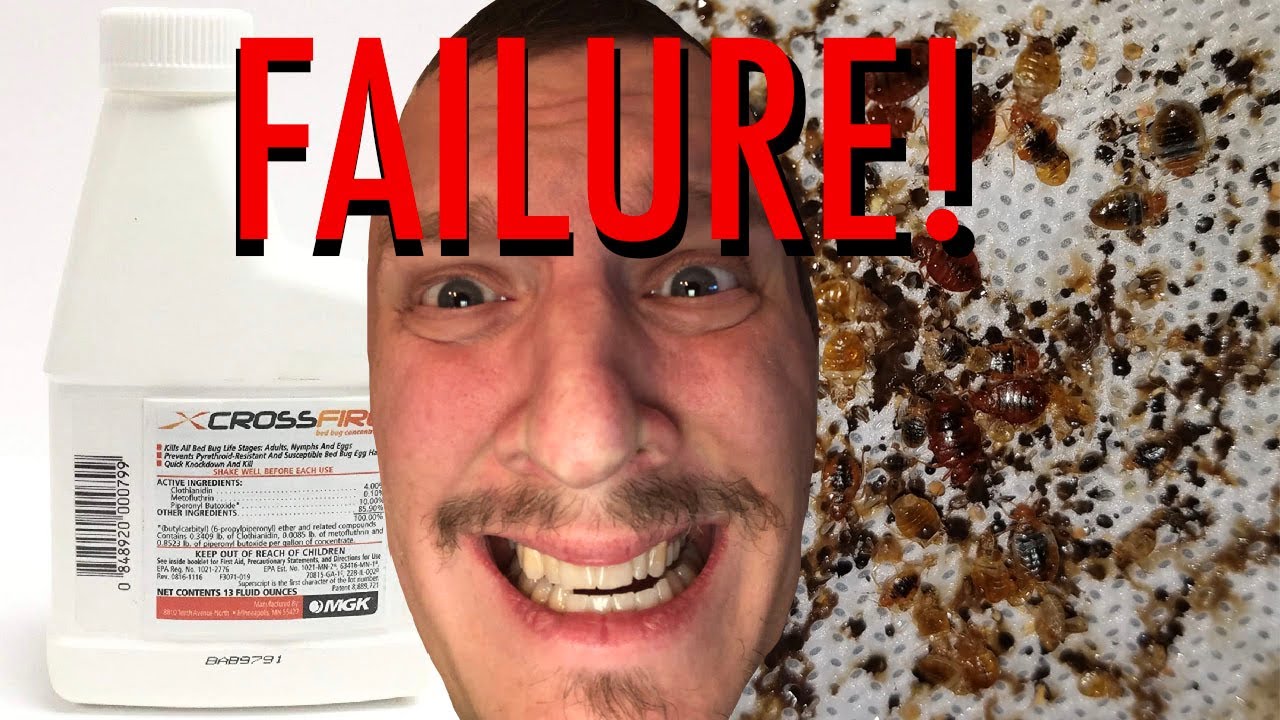 Bed Bugs - When The Best Fails - What To Do When Crossfire Doesn’t Kill Bed Bugs