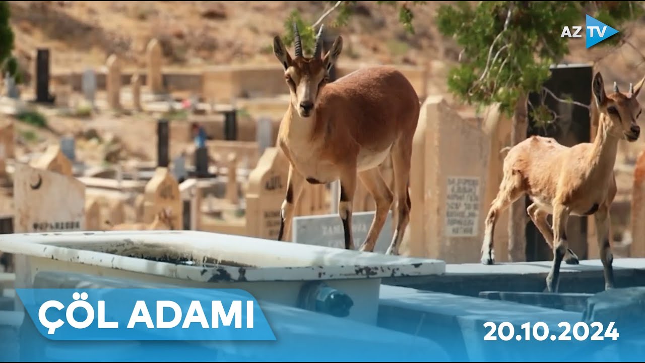 “Çöl adamı” Ordubadda I ÇÖL ADAMI – 20.10.2024