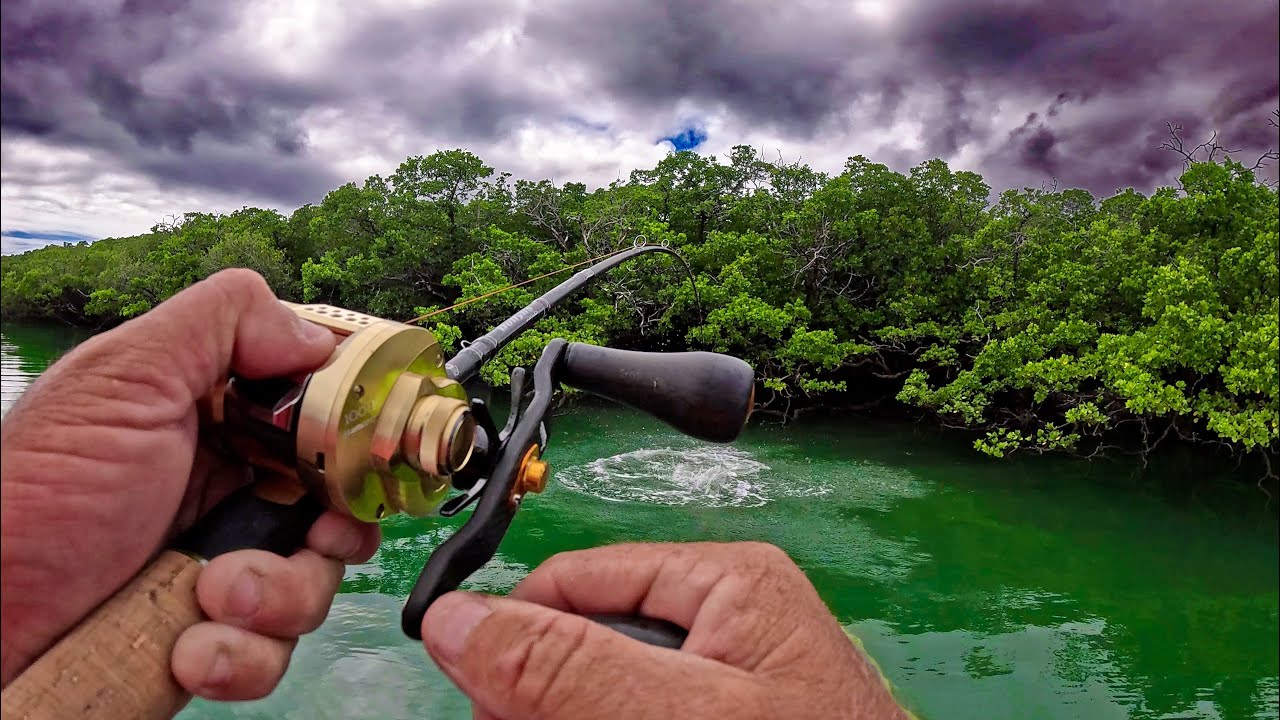 This IS a BARRA Video!