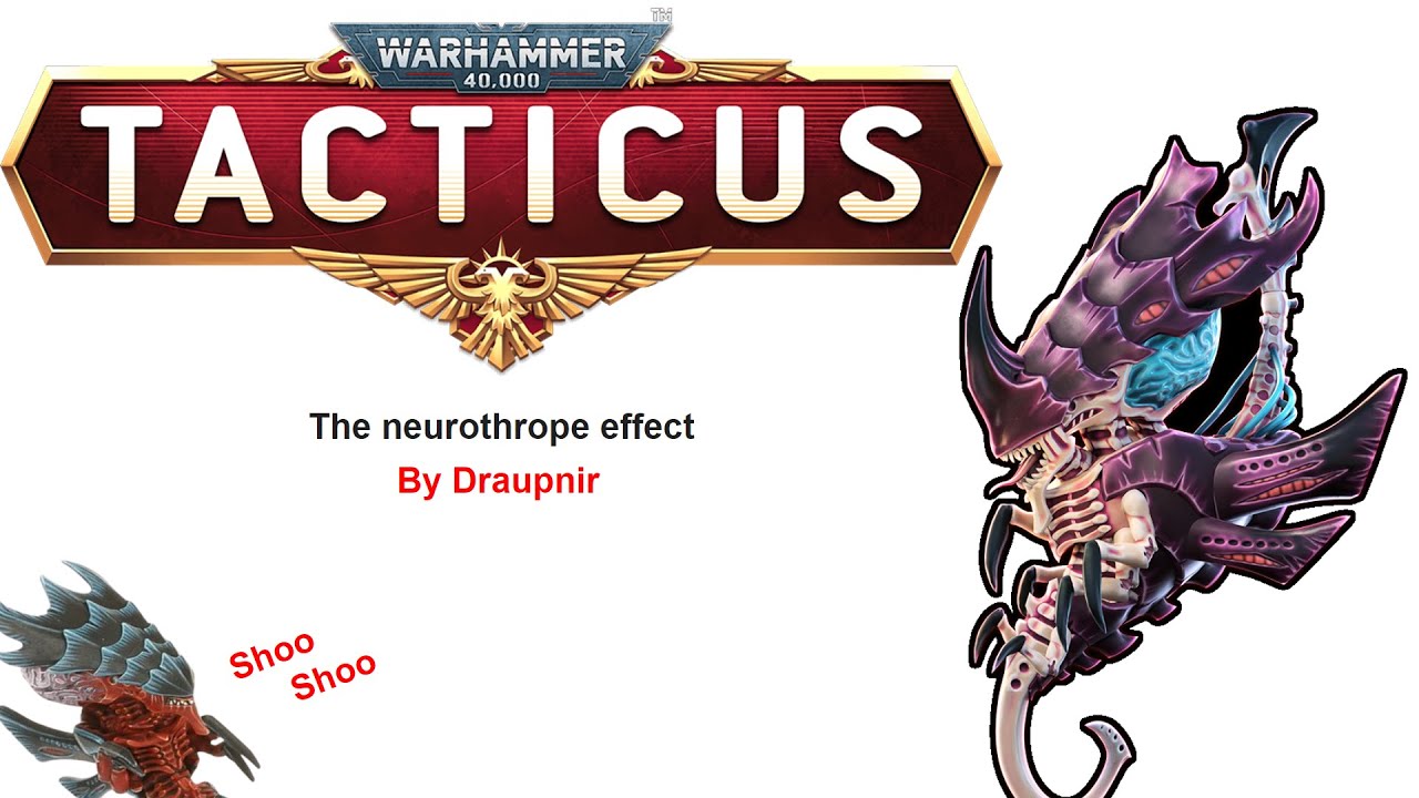 Draupnir talks about the 