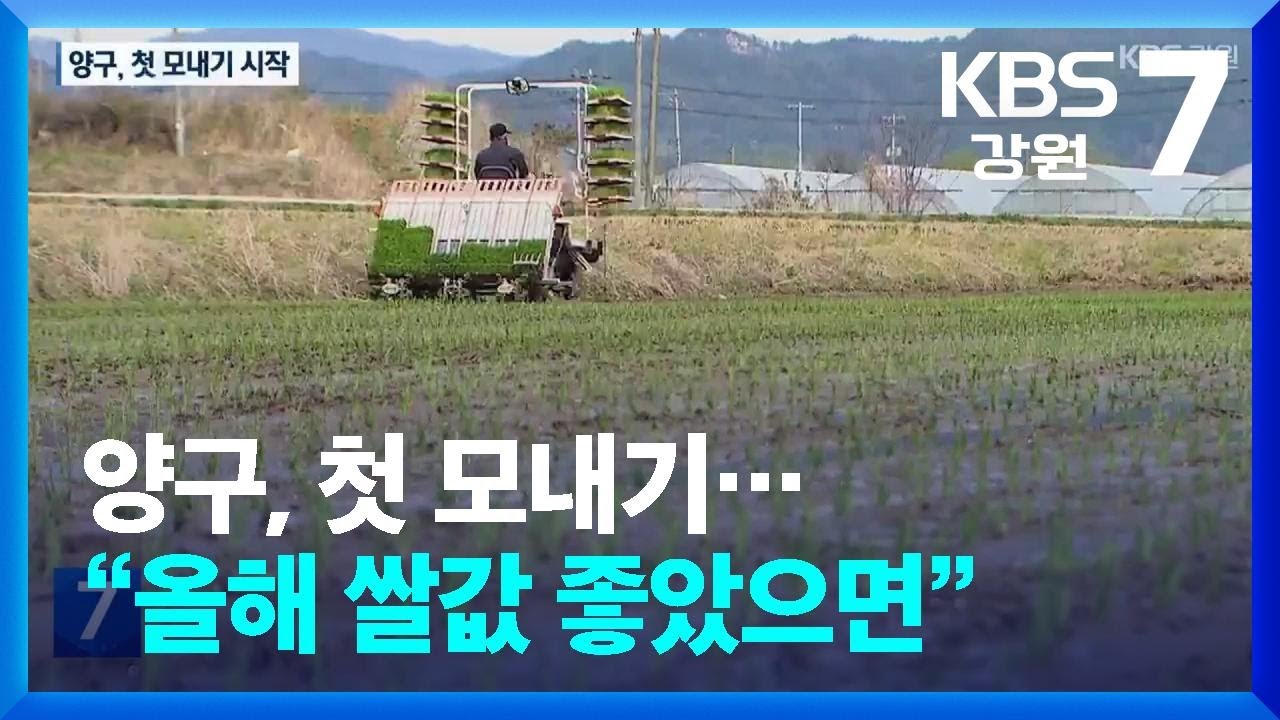 양구, 첫 모내기&hellip;&ldquo;올해 쌀값 좋았으면&rdquo; / KBS  2025.04.23.