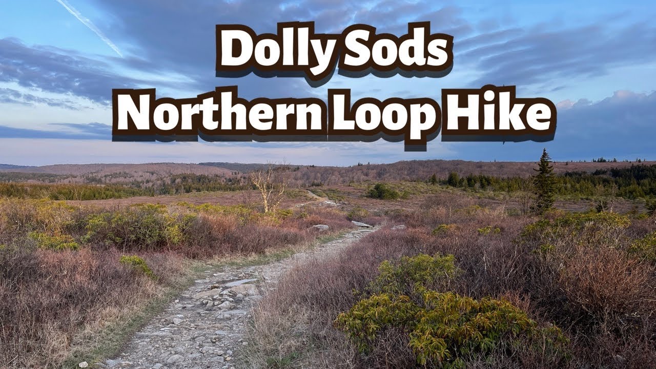 Dolly Sods- Northern Loop Hike: Bear Rocks, Rocky Ridge, Dobbin Trail