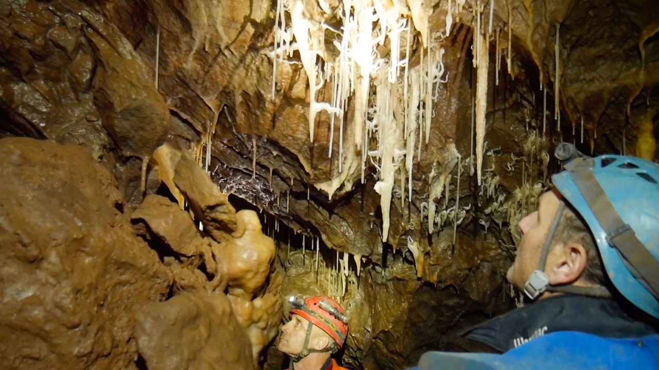 Highlights of the Caving Year 2016