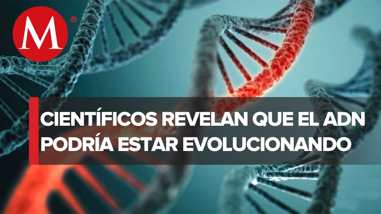 Investigaciones cient&iacute;ficas revelan evoluci&oacute;n en el ADN humano