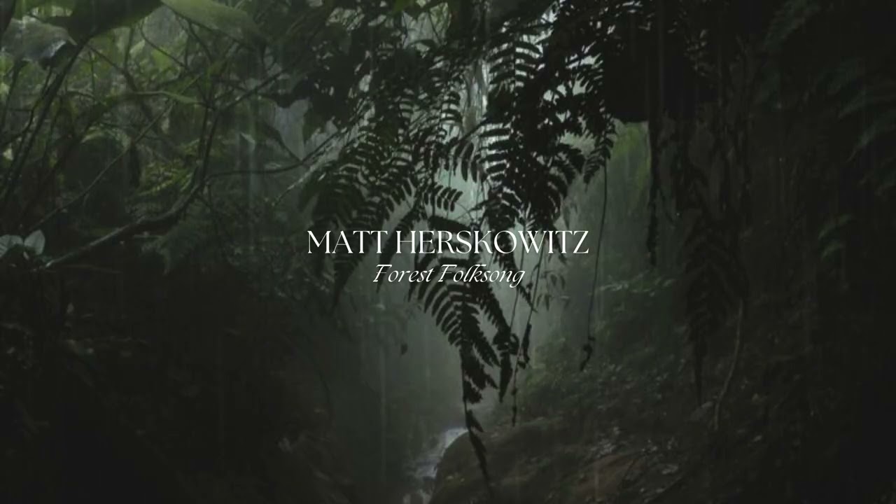 Matt Herskowitz - Forest Folksong (Official Audio)