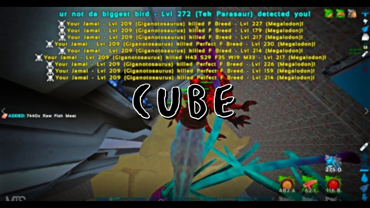 Ark MTS | Speed Wiping Cube And Mountain Cave