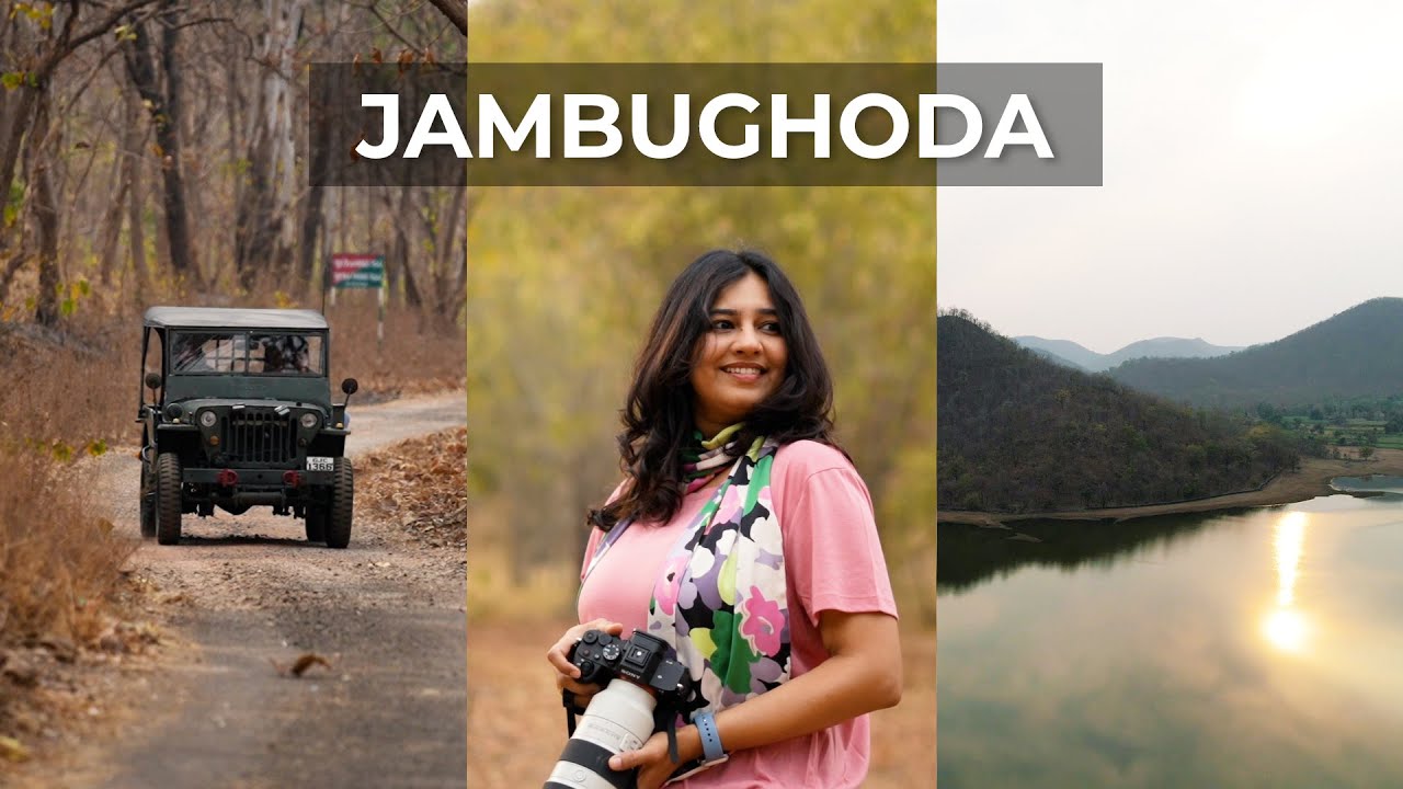 મારી નજરે જાંબુઘોડા  | Mari Najare Jambughoda | Aditi Raval