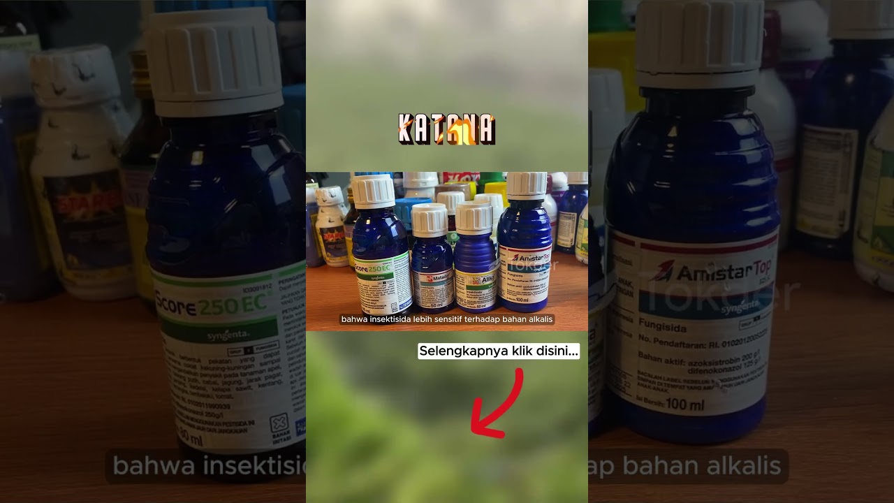 4 Insektisida Paling Sensitif Bahan Alkalis