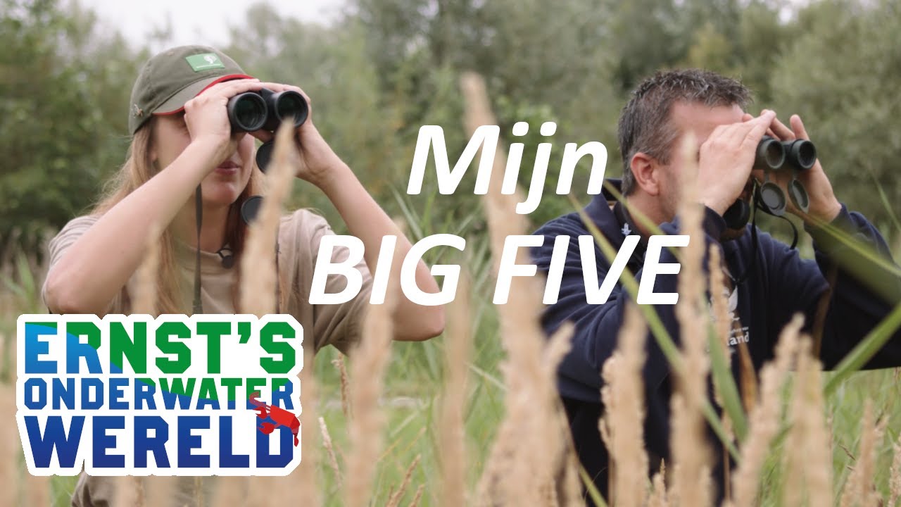 Dit is mijn BIG FIVE! #28 Ernst's OnderWaterWereld