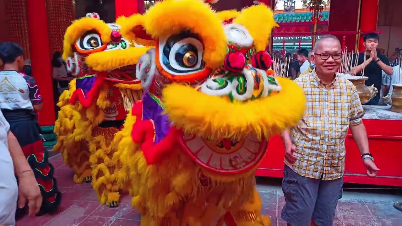 Lion Dance - A vibrant showcase of culture, energy, and good fortune. 🦁