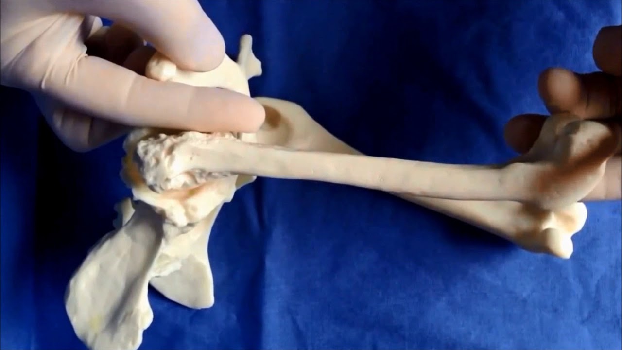 Hip Injection 1   Minimize Harm