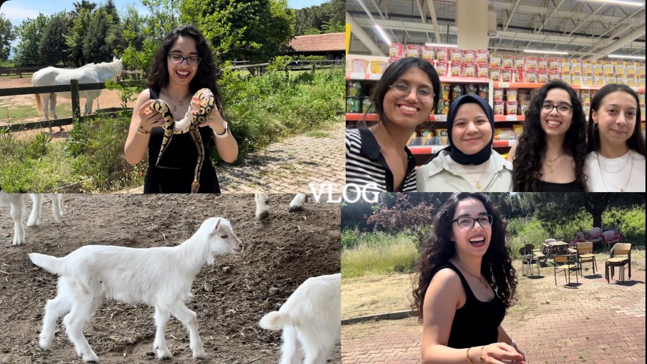Karışık vlog , Veteriner Fakültesi’nde okumak 🥹.Benimle birkaç günn :))