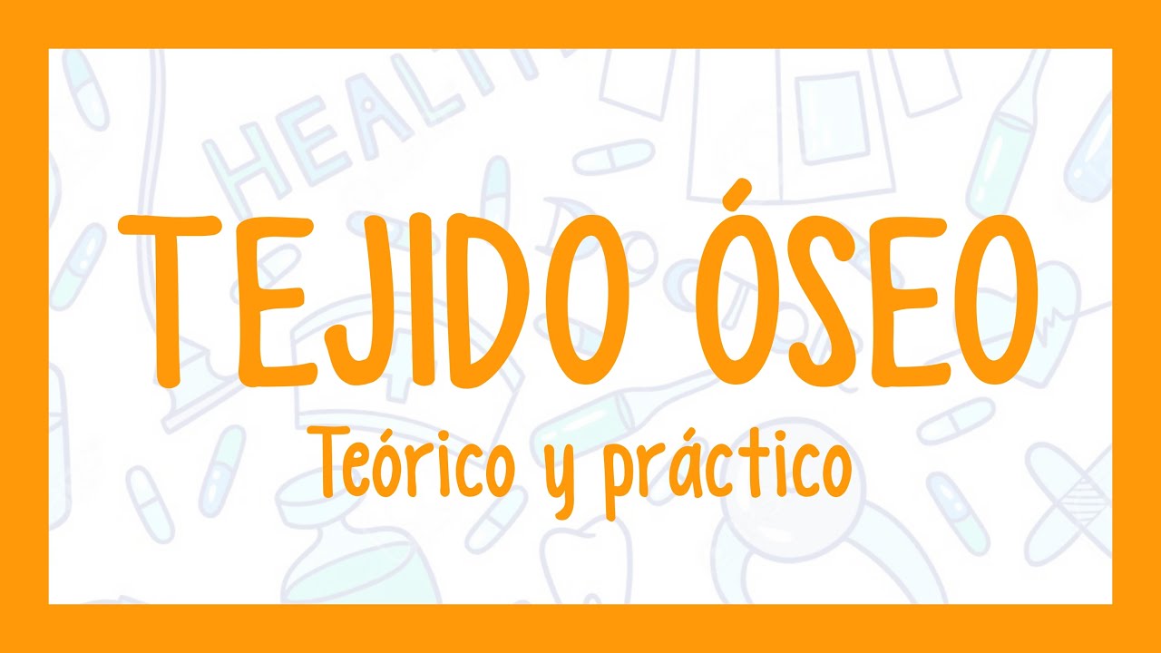 TEJIDO ÓSEO | ¡Fácil explicación! (Histología)