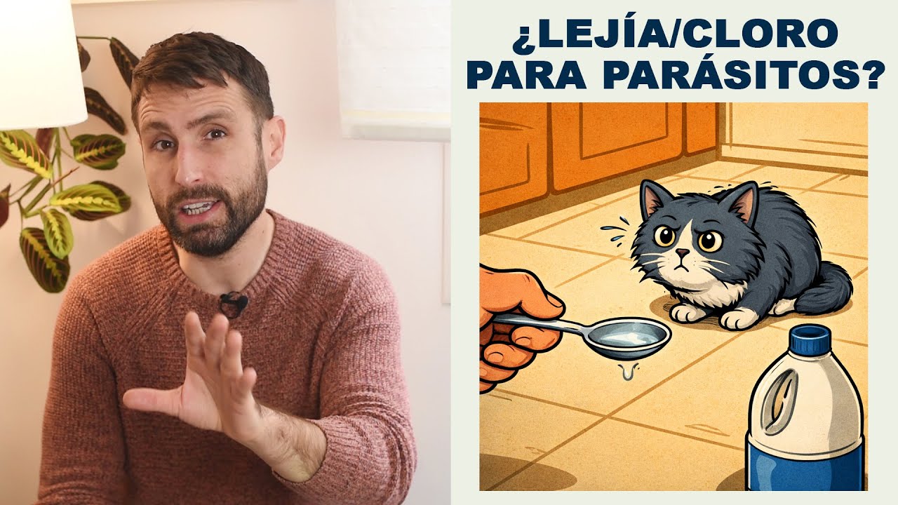 ¿Estoy poniendo en riesgo a mi gato si sigo este consejo sobre la lejía/cloro/lavandina?