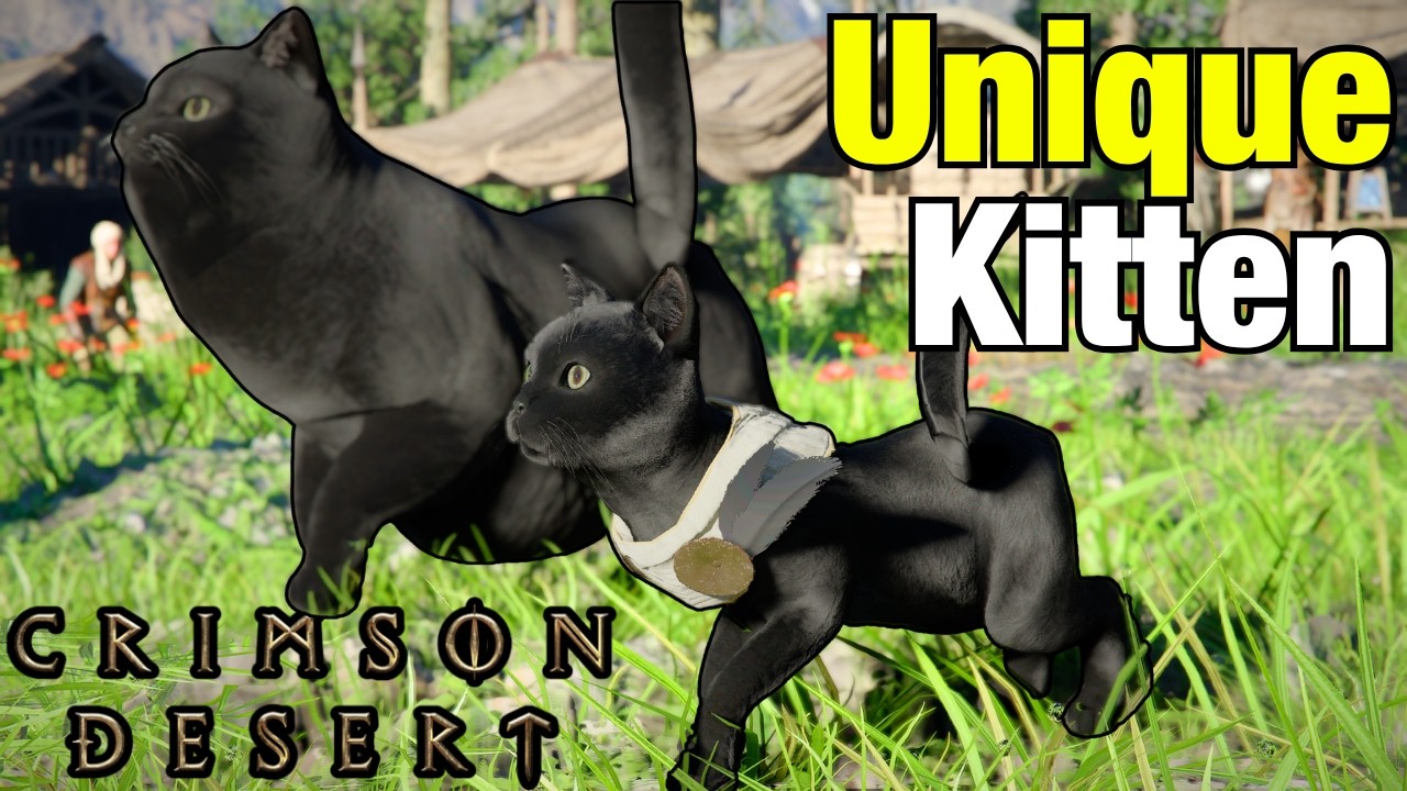 How to Find UNIQUE KITTEN in Crimson Desert + Black Loafy/Skinny Cat
