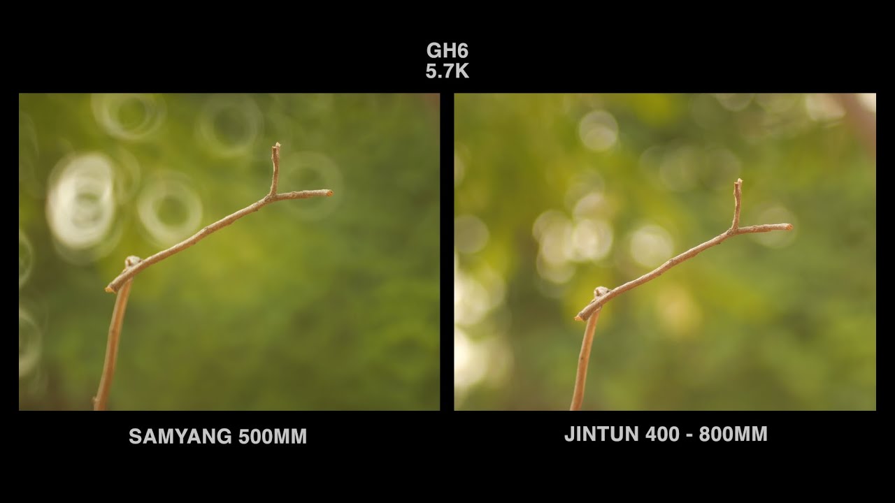 500mm vs 800mm