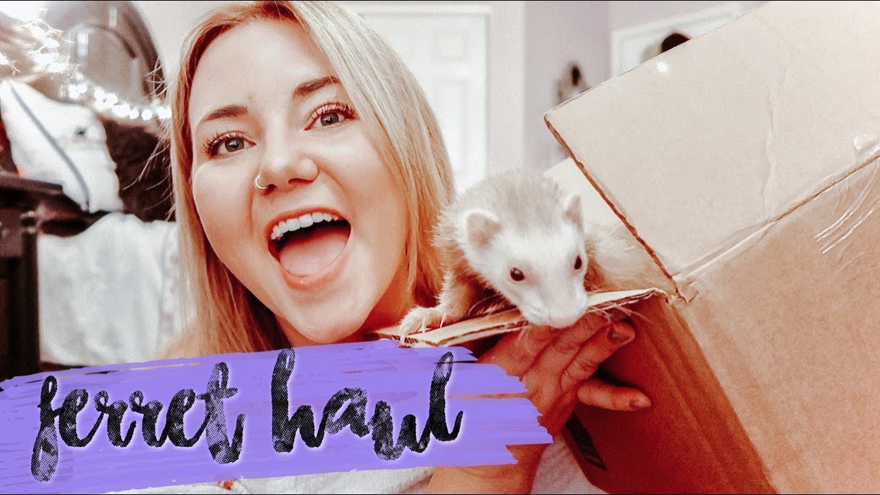 Я сделала покупку на FERRET.COM, и вот что я получила | Покупки в Ferret Supply