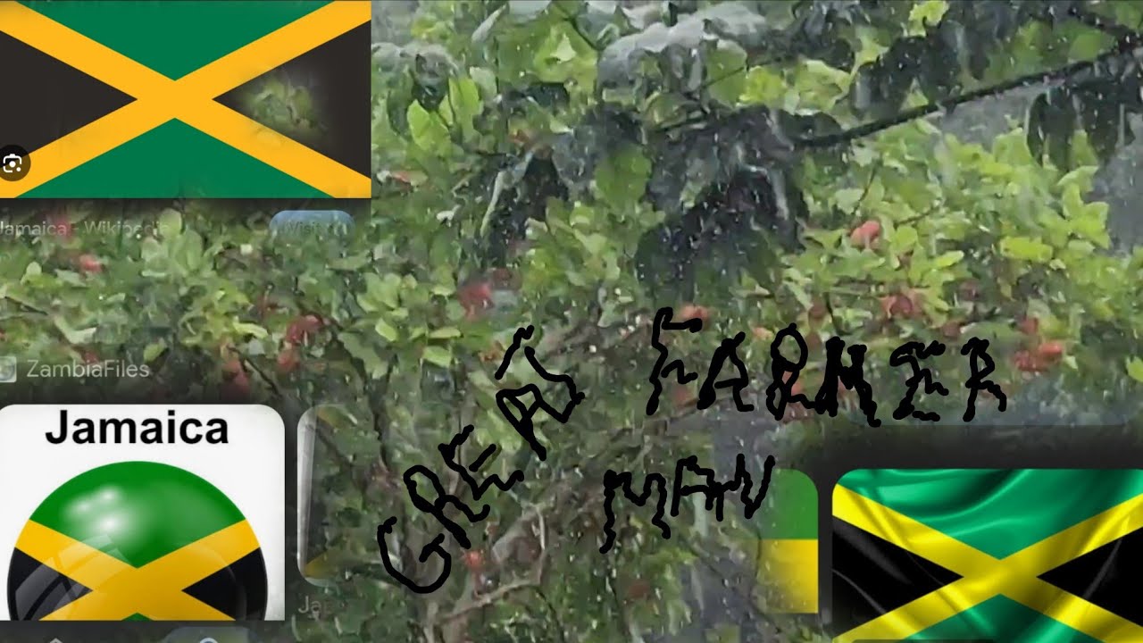 Jamaican best rain 🌧 video watch only when you want to get a good sleep 😴 