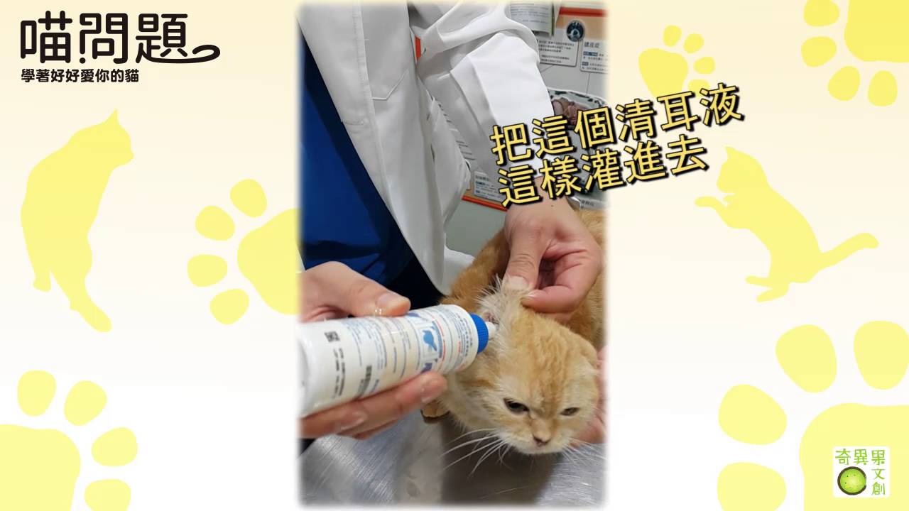 清耳朵篇