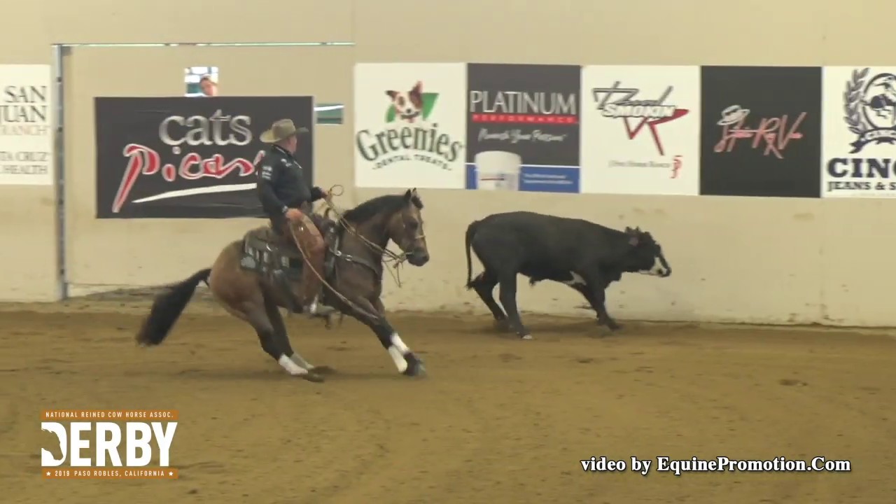 Shiney Outlaw - NRCHA Derby Two-Rein Spectacular Open Champion