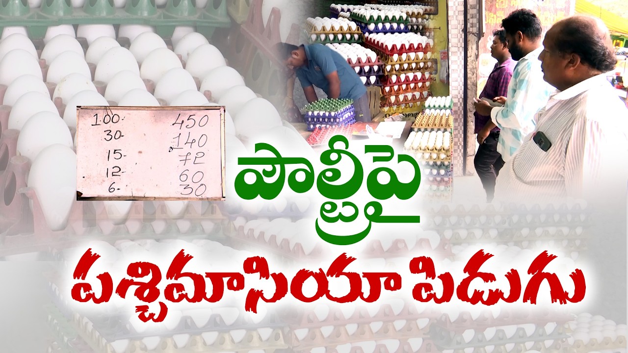 Middle East War Effect | Egg Prices Fall as Gulf Exports Stop | Poultry Farmers Worried