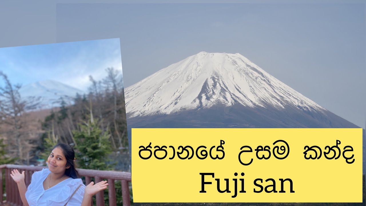 Mount Fuji 🗻🗻ජපානයේ උසම කන්ද ෆුජිසන් Traveling | sakura wehi