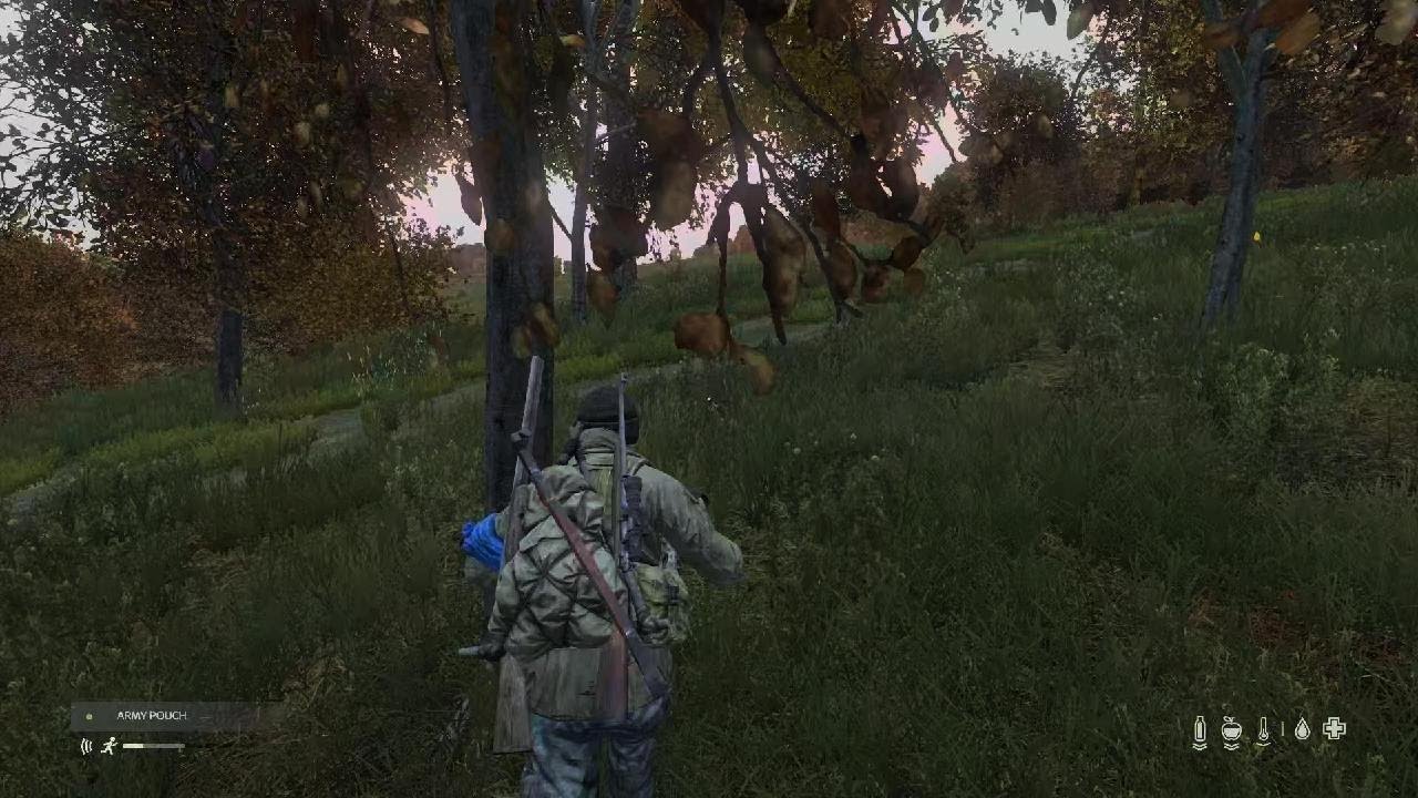 DayZ_20260110172907