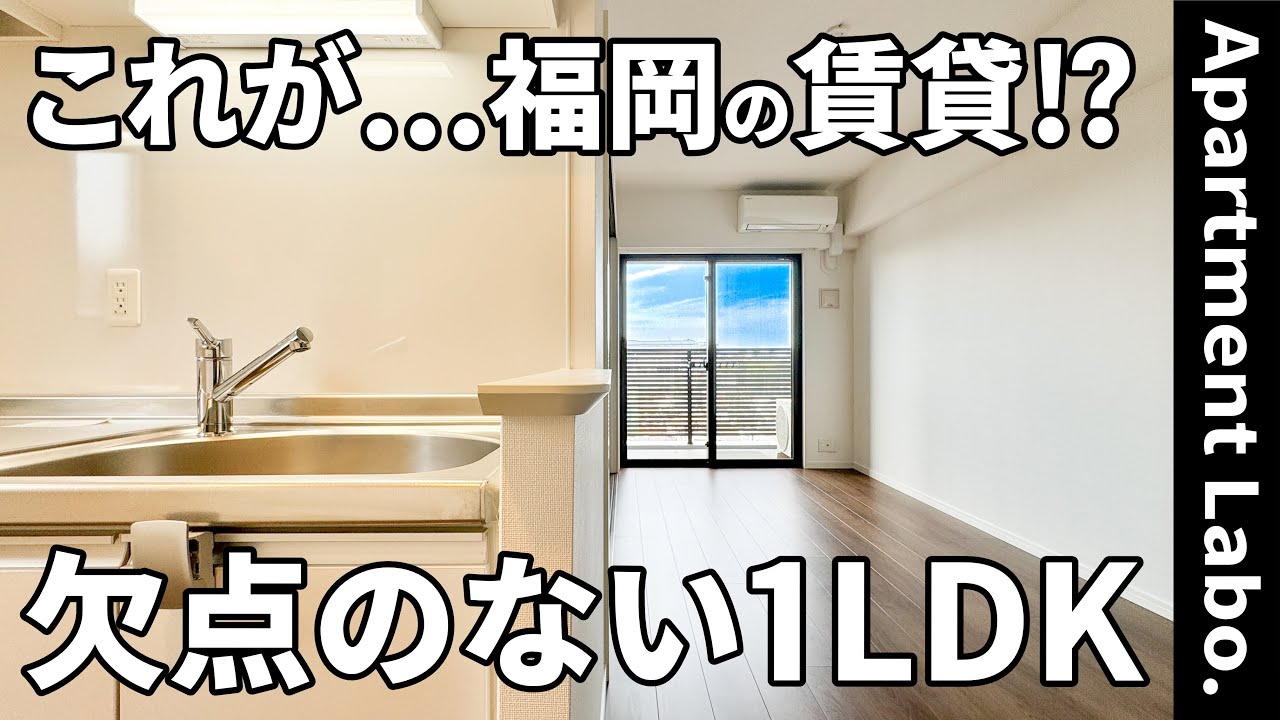 この賃貸に住みたい！？ほぼ全ての空間に収納がある1LDK【物件紹介】