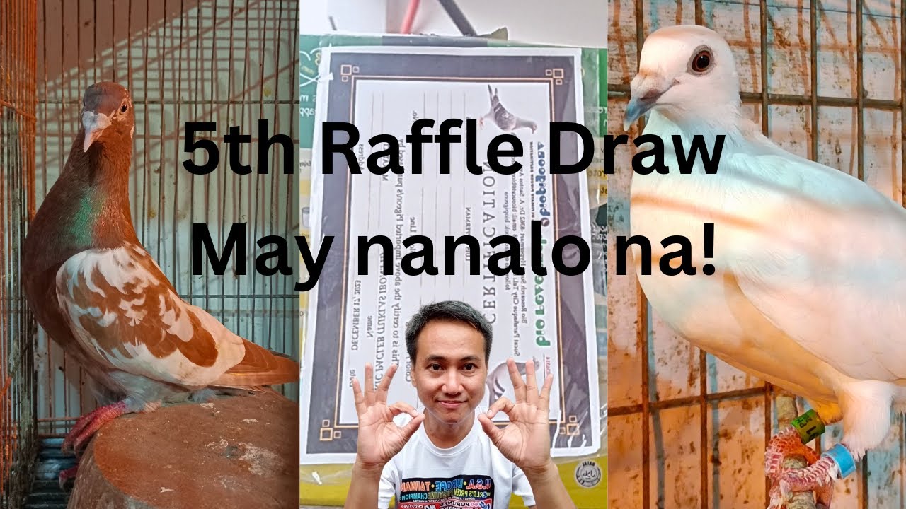 MAY NANALO na ulit ng BIO PIGEON! 5th Free Raffle Draw | TUKLASin kung sino ang nanalo