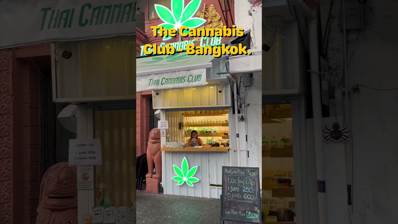 Best Weed Shop In Bangkok - The Cannabis Club.#weed #cannabis #bangkok #thailand #dispensary #thai