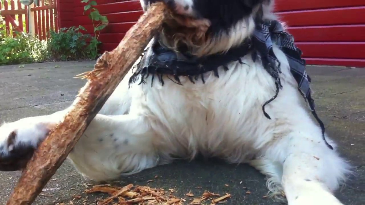 Landseer - Ich und mein Holz (Real Holce!)