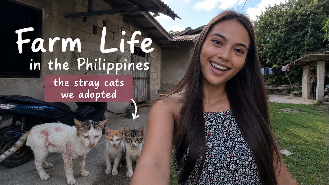 Farm Life In The Philippines| House Update & New Family Members