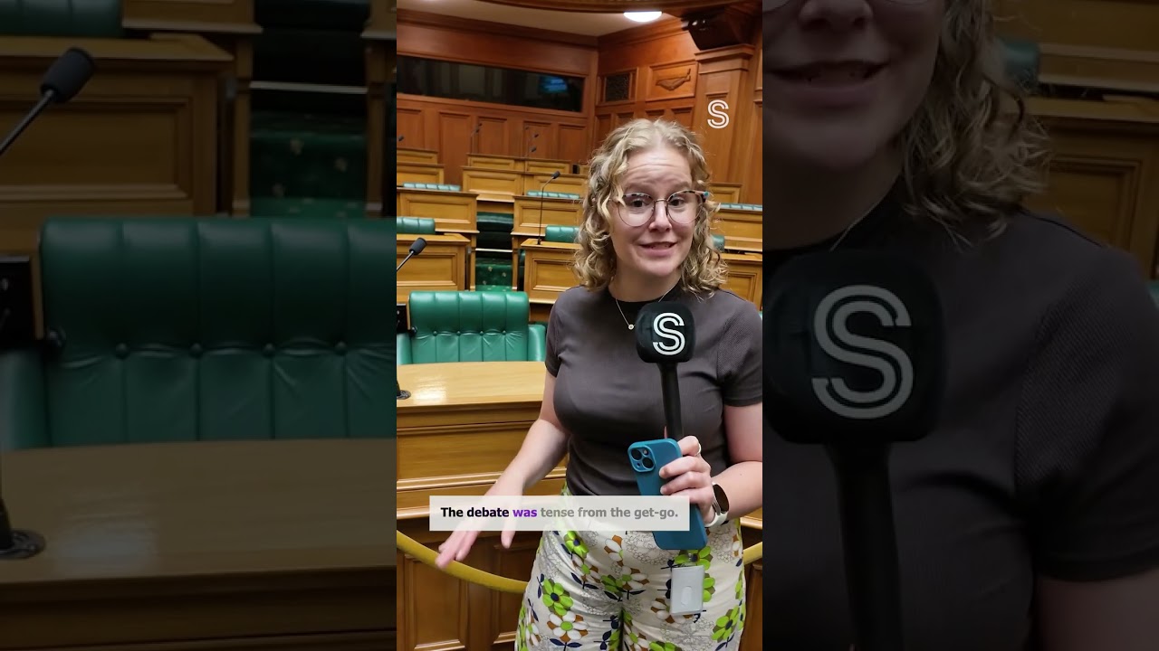 English language bill sparks fiery debate in Parliament | Stuff.co.nz