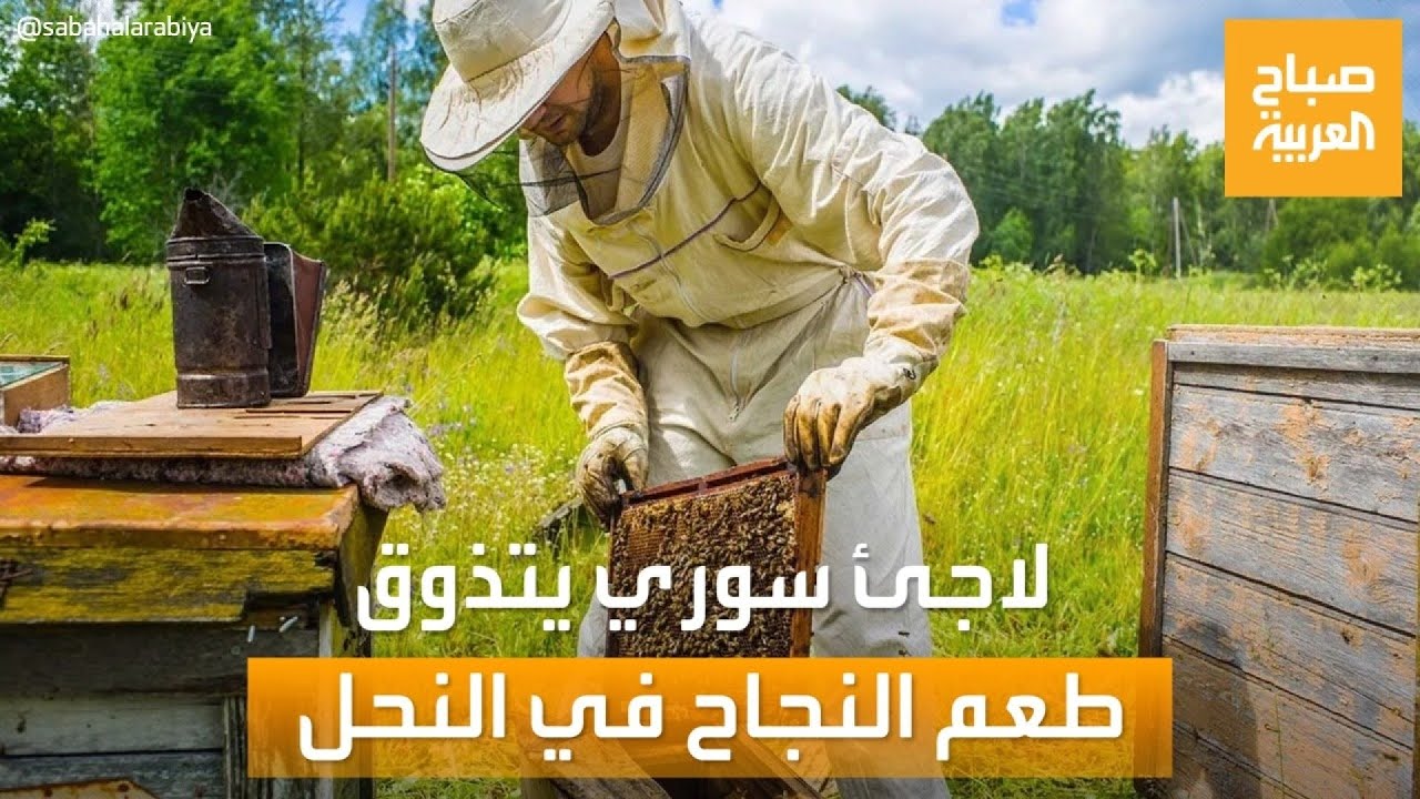 صباح العربية | لاجئ سوري في لندن يتذوق طعم النجاح في تربية النحل