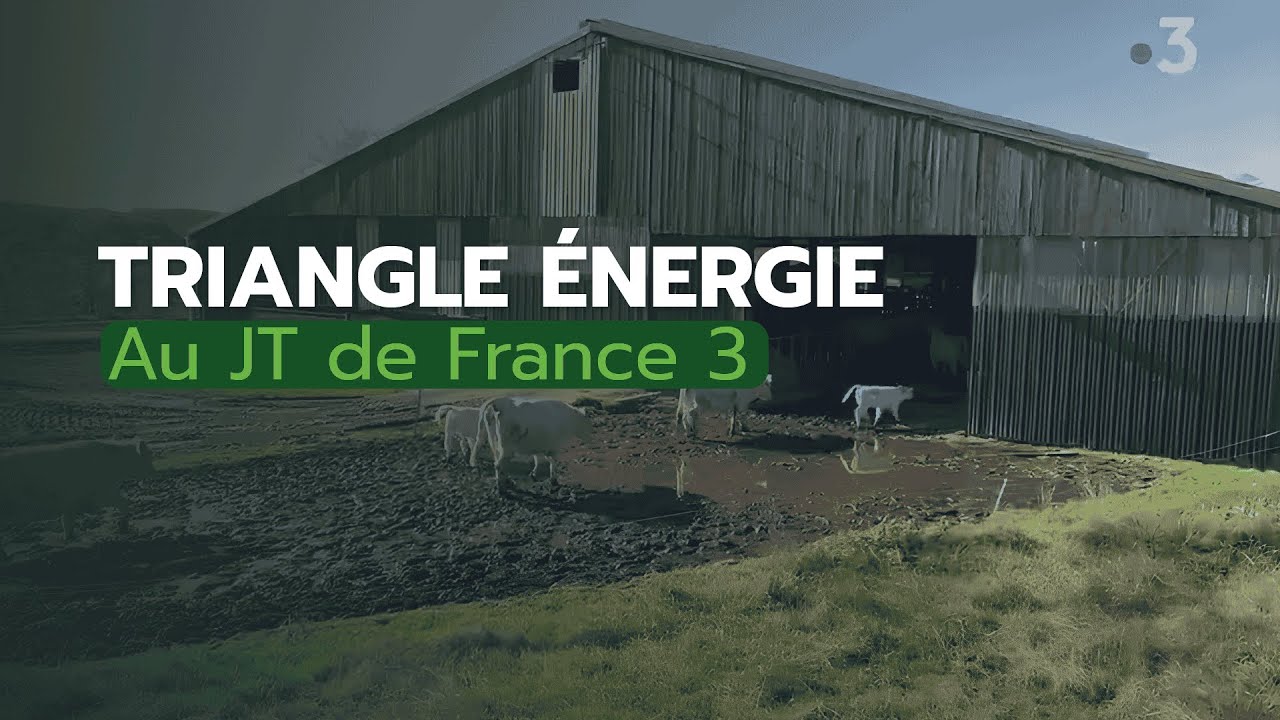 Triangle Énergie au JT de France 3 !