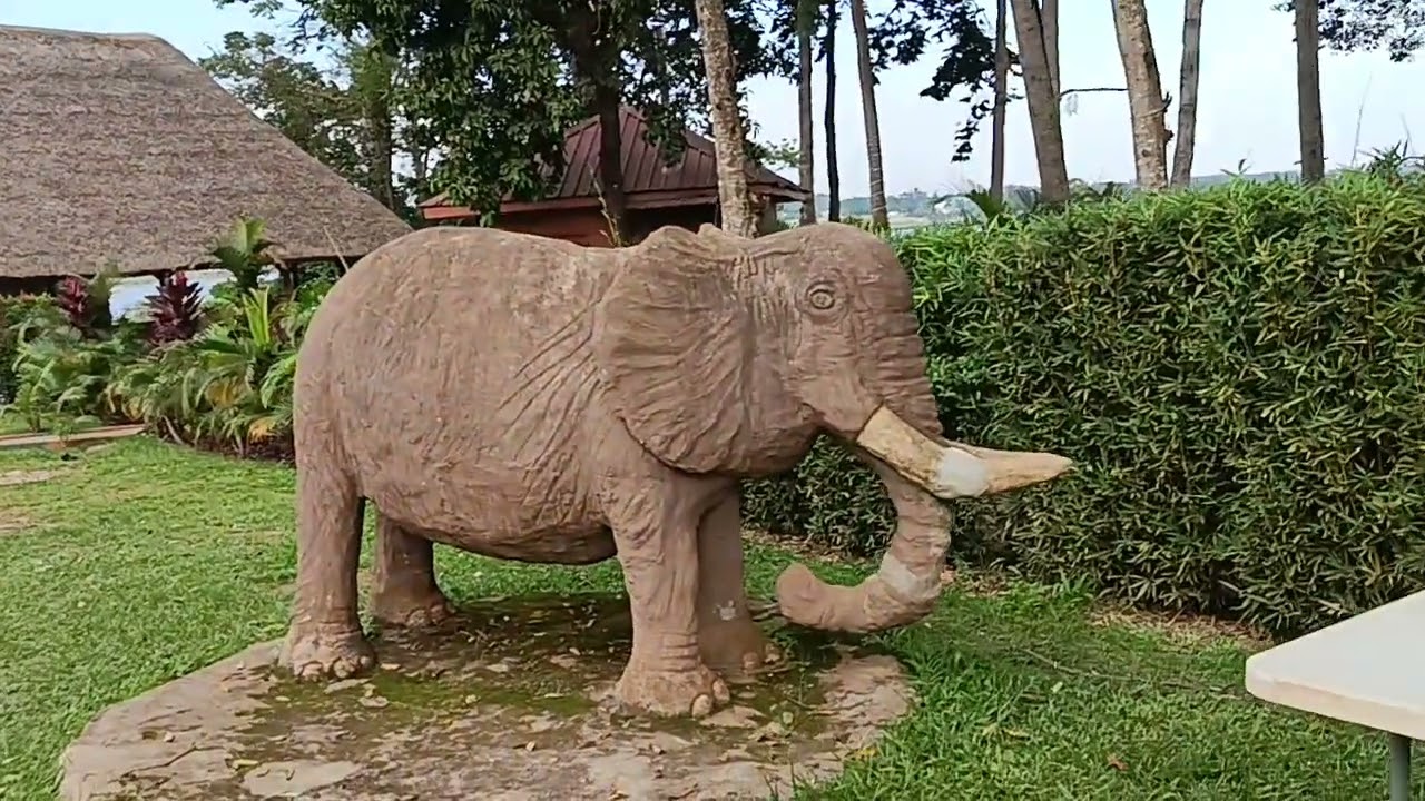 Visit to an Eco beach in Entebbe