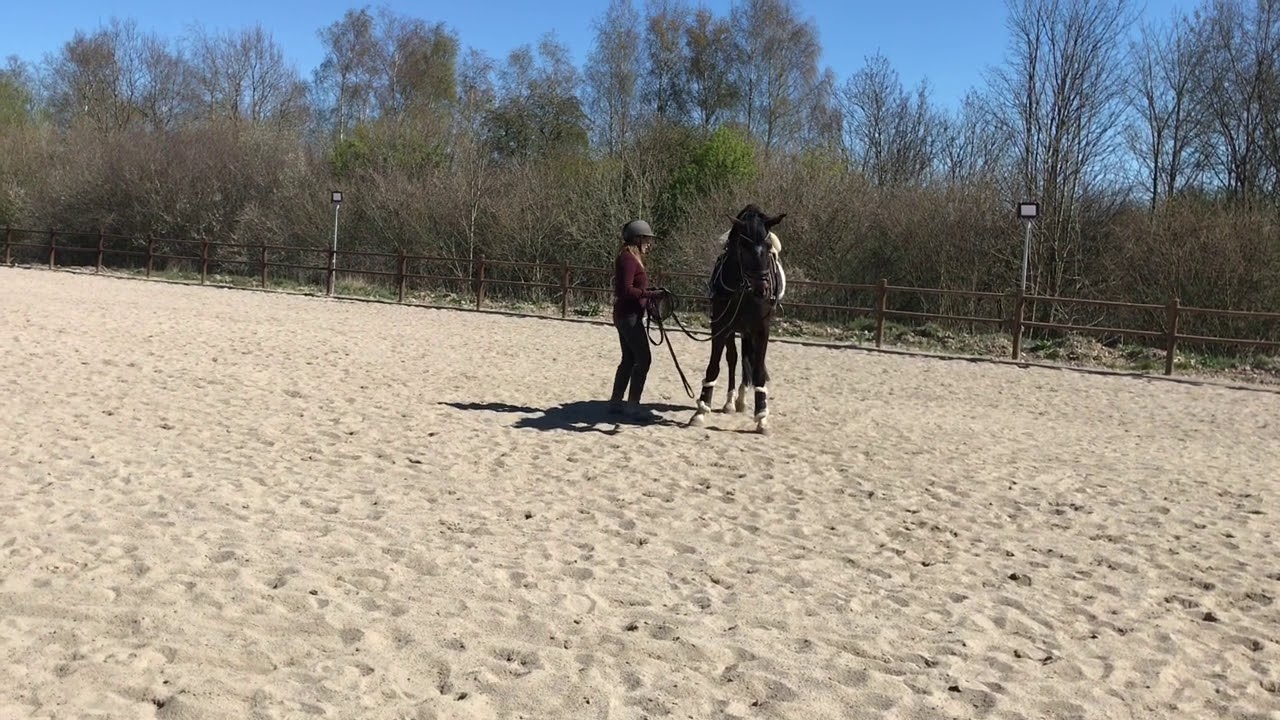 Tilridning Af Ny 4 Års