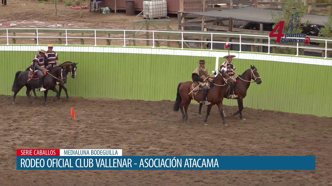 Rodeo Oficial Club  Vallenar - Serie Caballos