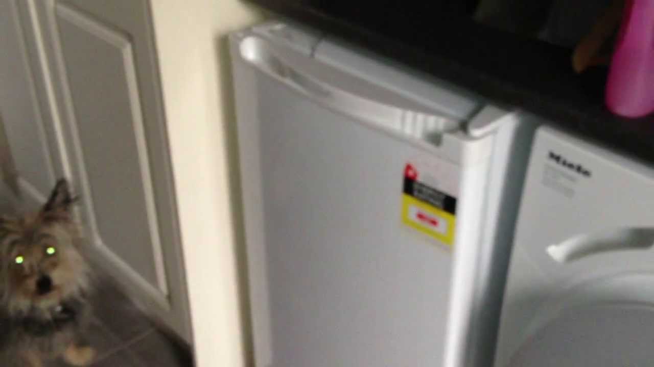 Как выдержать сыр — Cheese Fridge