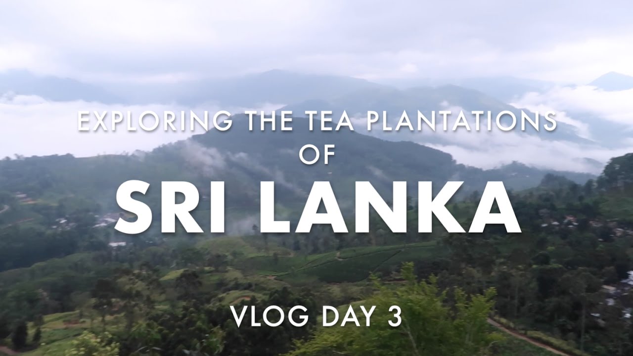 Exploring Madulkelle and Tea Plantations of Sri Lanka [Vlog 16]