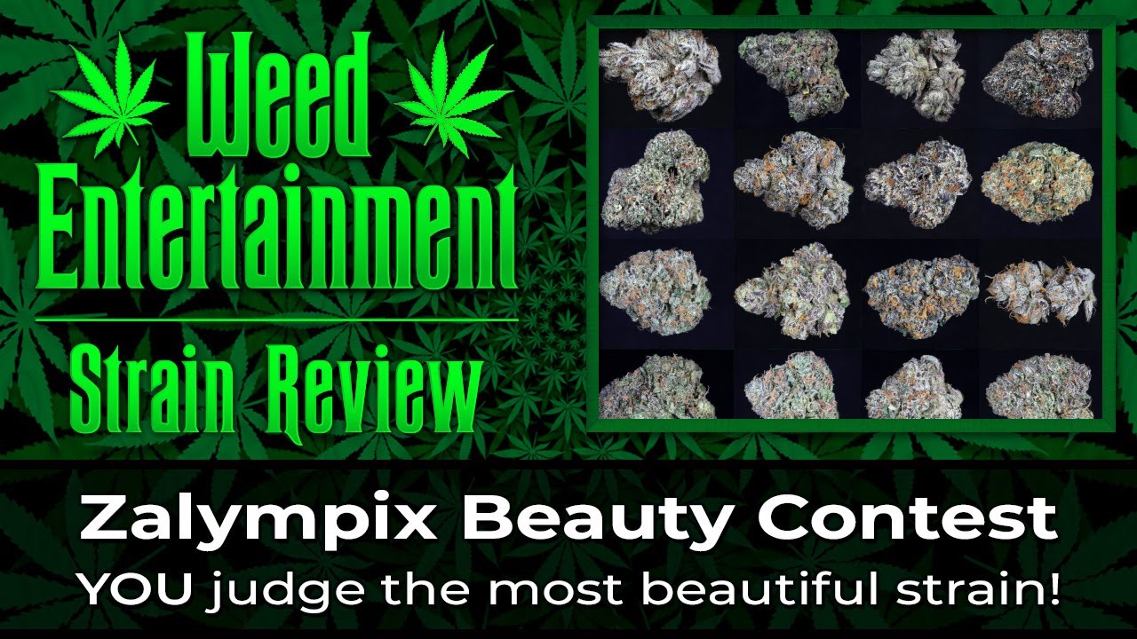 2023 California Zalympix - BEAUTY CONTEST - YOU judge the most beautiful strain!!!