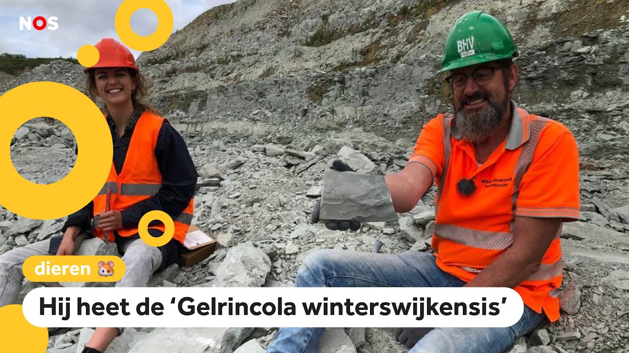 Pissebed van 245 miljoen jaar oud gevonden