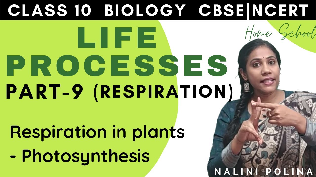 𝐋𝐢𝐟𝐞 𝐏𝐫𝐨𝐜𝐞𝐬𝐬𝐞𝐬 𝐂𝐥𝐚𝐬𝐬 𝟏𝟎 𝐁𝐢𝐨𝐥𝐨𝐠𝐲 𝐍𝐂𝐄𝐑𝐓 𝐂𝐁𝐒𝐄 𝐏𝐚𝐫𝐭 -9