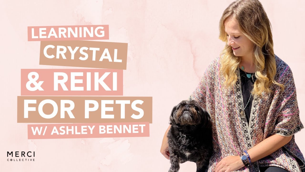 Learning Crystal Healing & Reiki for Pets W/ a Reiki Master