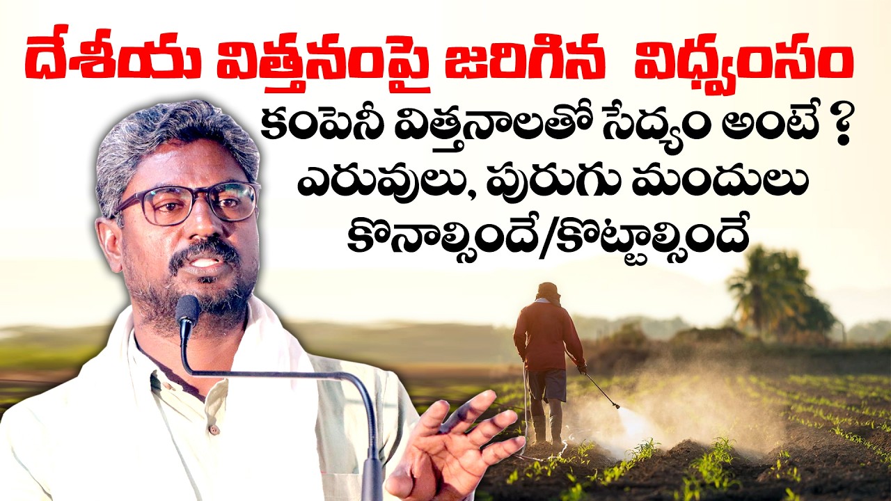 దేశీయ విత్తనంపై జరిగిన విధ్వసం || కంపెనీ విత్తనాలతో సేద్యం అంటే ఎరువులు, పురుగుమందులు కొనాల్సిందే