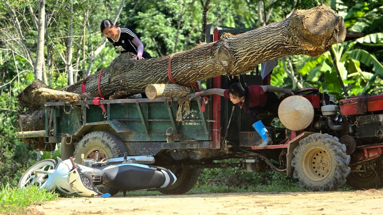 Agricultural vehicle, the hardest ever when transporting wood and had bad luck again&too helpless 